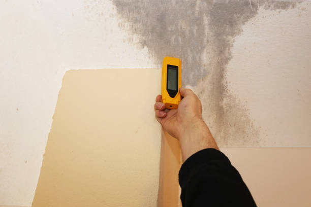  Harleigh, PA Mold Removal Pros
