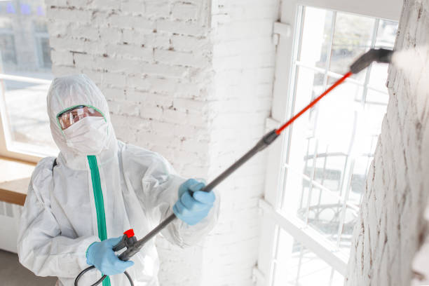 Dehumidification Services in Harleigh, PA