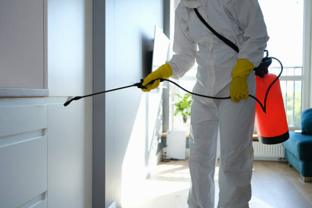 Best Forensic Mold Investigation  in Harleigh, PA