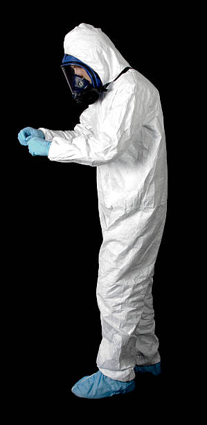 Best Asbestos and Lead Testing During Mold Inspection  in Harleigh, PA