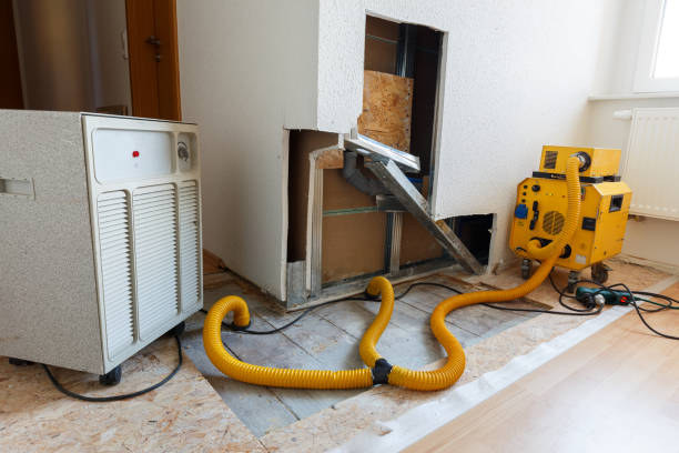 Best Dehumidification Services  in Harleigh, PA