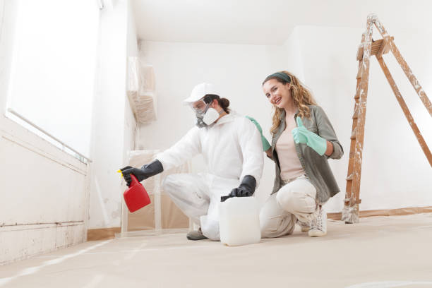 Best Industrial Mold Remediation  in Harleigh, PA